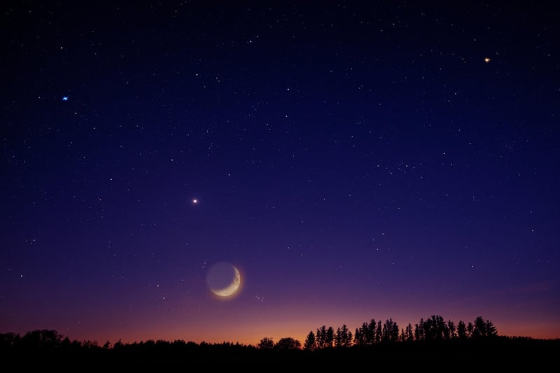 Inspiration Image